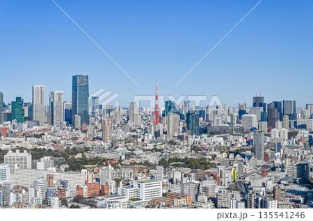 東京の都市風景 135541246