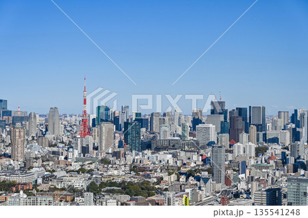 東京の都市風景 135541248
