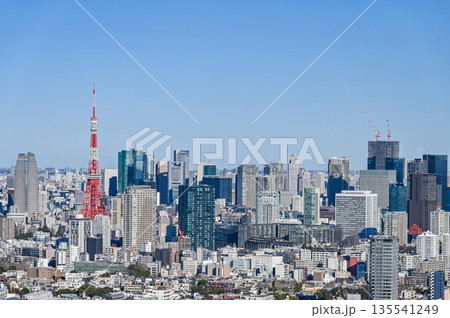 東京の都市風景 東京の都市風景 135541249