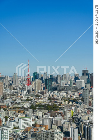 東京の都市風景 135541278