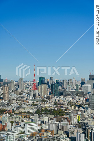 東京の都市風景 135541279