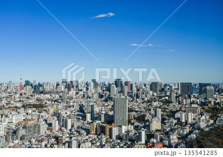 東京の都市風景 135541285