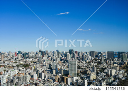 東京の都市風景 135541286