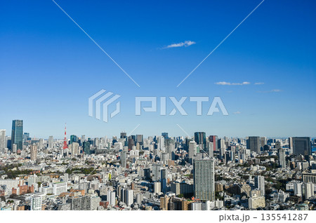 東京の都市風景 東京の都市風景 135541287