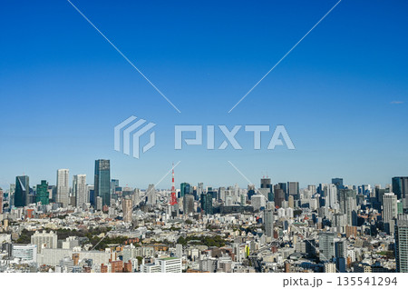 東京の都市風景 東京の都市風景 135541294