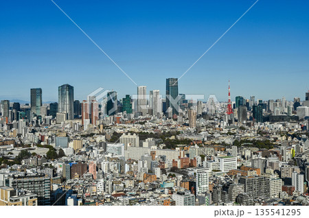 東京の都市風景 東京の都市風景 135541295