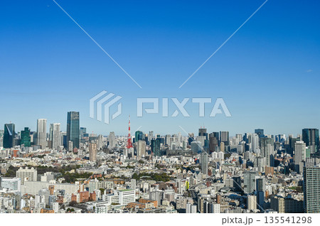 東京の都市風景 東京の都市風景 135541298
