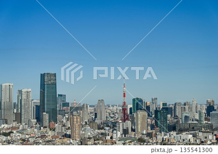 東京の都市風景 東京の都市風景 135541300