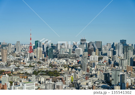 東京の都市風景 135541302