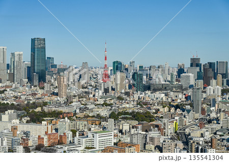 東京の都市風景 135541304