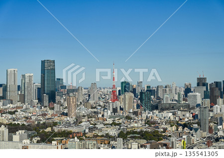 東京の都市風景 東京の都市風景 135541305