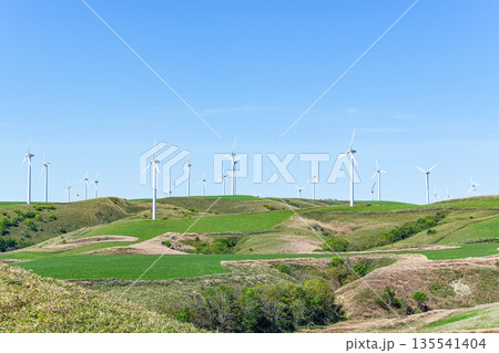 丘に聳える風力発電所（自然エネルギーイメージ） 135541404