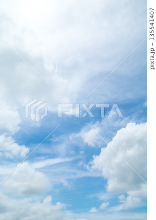 various 135541407