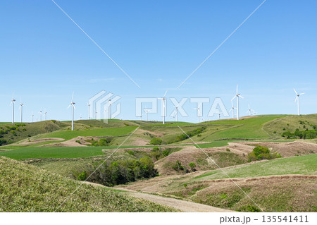 丘に聳える風力発電所（自然エネルギーイメージ） 135541411