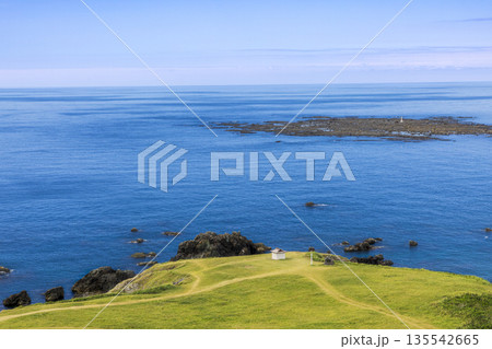 青い海を望む岬の草原 青い海を望む岬の草原 135542665