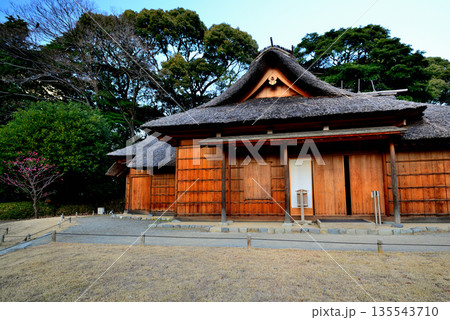 冬の浜離宮恩賜庭園 鷹の御茶屋 135543710