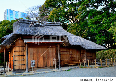 冬の浜離宮恩賜庭園 鷹の御茶屋 冬の浜離宮恩賜庭園 鷹の御茶屋 135543712
