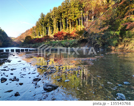 秋の嵐山渓谷 135543768