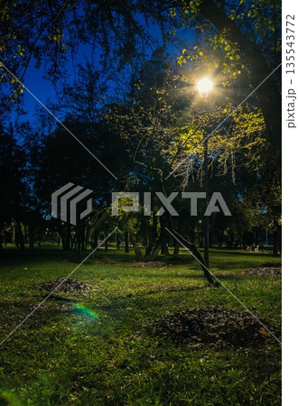 The tailed lawn with yellow leafs in the night park with lanterns in autumn. Benches in the park during the autumn season at night. Illumination of a park road with lanterns at night. Park Kyoto 135543772