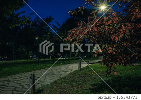 The tailed road with yellow leafs in the night park with lanterns in autumn. Benches in the park during the autumn season at night. Illumination of a park road with lanterns at night. Park Kyoto 135543773