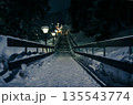 Night view with snowy stairs. Snow-covered staircase with illumi 135543774