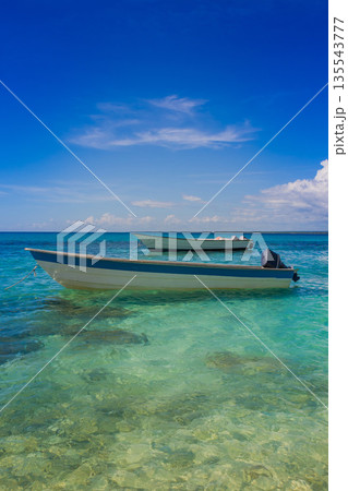 Fishing motorboats in beautiful turquoise water near the tropical exotic white beach in the Caribbean sea. Fishing motorboats in beautiful turquoise water near the tropical exotic white beach in the Caribbean sea. 135543777