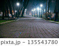 The alley of a night early winter park in a light fog. Footpath in a fabulous late autumn city park at night with benches and latterns. Beautiful cold evening in Mariinsky Park. Kyiv, Ukraine. 135543780