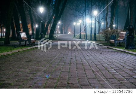 The alley of a night early winter park in a light fog. Footpath in a fabulous late autumn city park at night with benches and latterns. Beautiful cold evening in Mariinsky Park. Kyiv, Ukraine. The alley of a night early winter park in a light fog. Footpath in a fabulous late autumn city park at night with benches and latterns. Beautiful cold evening in Mariinsky Park. Kyiv, Ukraine. 135543780