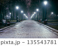 The alley of a night early winter park in a light fog. Footpath in a fabulous late autumn city park at night with benches and latterns. Beautiful cold evening in Mariinsky Park. Kyiv, Ukraine. 135543781