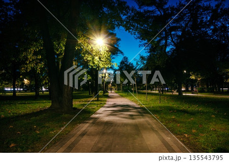 The tailed road with yellow leafs in the night park with lanterns in autumn. Benches in the park during the autumn season at night. Illumination of a park road with lanterns at night. Park Kyoto 135543795