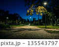 The tailed lawn with yellow leafs in the night park with lantern 135543797
