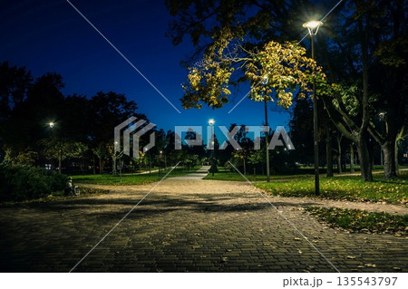 The tailed lawn with yellow leafs in the night park with lantern The tailed lawn with yellow leafs in the night park with lantern 135543797