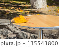 Yellow leaf on the table of a street cafe. Golden autumn in the city. ?afe in the park, covered with autumn yellow leave. 135543800