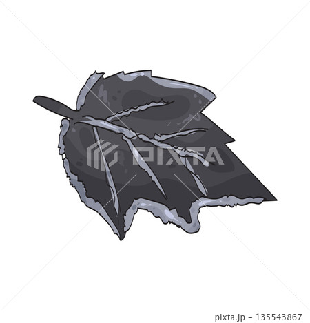 illustration of winter leaf illustration of winter leaf 135543867