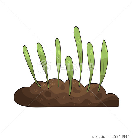 illustration of Young grass 135543944
