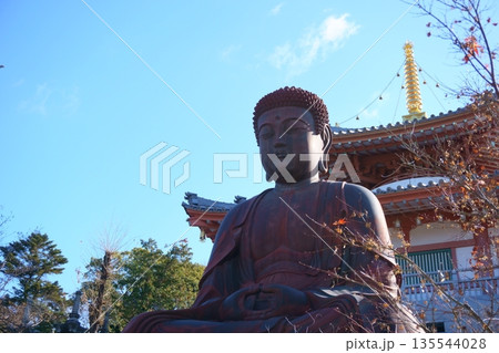 八事山興正寺 釈迦牟尼大仏と圓照堂 八事山興正寺 釈迦牟尼大仏と圓照堂 135544028