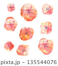 手描き風かわいい水彩風の花 135544076