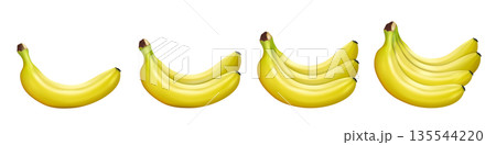 Banana set. Banana, bunch of bananas isolated on white background. Vector realistic illustration. 135544220