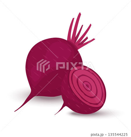Red beetroot whole and cut isolated on white background. vector illustration flat design 135544225
