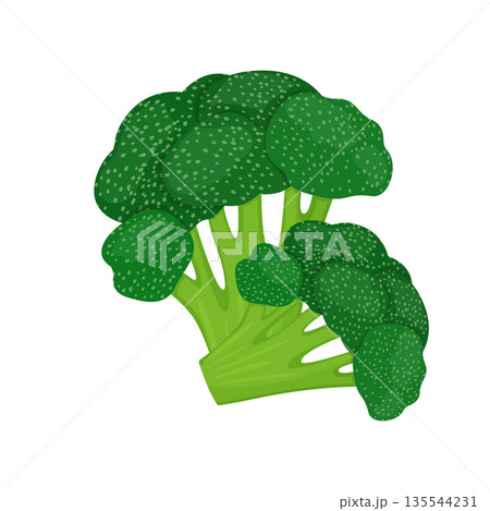 Broccoli isolated on white background. Vector illustration of a fresh vegetable in a flat style. Broccoli isolated on white background. Vector illustration of a fresh vegetable in a flat style. 135544231