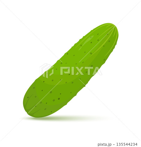 fresh cucumber vegetable isolated icon. cucumber for farm market, vegetarian salad recipe design. Vector illustration in flat style fresh cucumber vegetable isolated icon. cucumber for farm market, vegetarian salad recipe design. Vector illustration in flat style 135544234