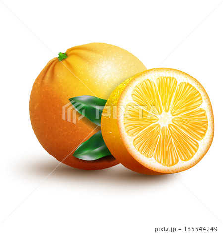 Whole and cut oranges fruits with leaf isolated on white background. Realistic vector illustration. 135544249