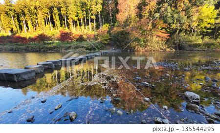 嵐山渓谷 135544295