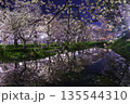 夜桜と川面に映る桜並木のライトアップ 135544310