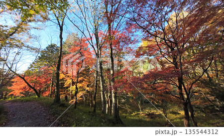嵐山渓谷 嵐山渓谷 135544312