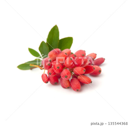 Barberry fruits on white backgrounds Barberry fruits on white backgrounds 135544368