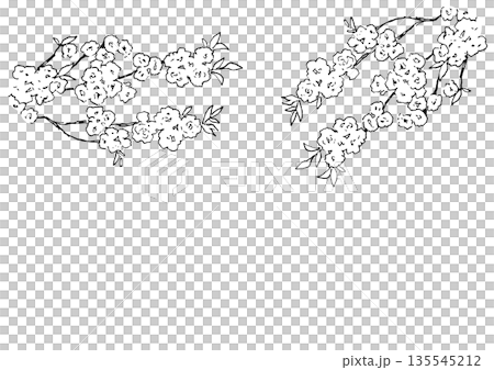 White flower branch monochrome illustration material White flower branch monochrome illustration material 135545212