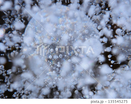 陽射しに輝く氷の中の世界(afp20260110093732) 陽射しに輝く氷の中の世界(afp20260110093732) 135545275