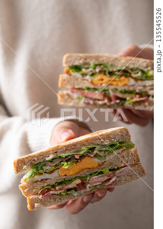 Whole wheat bread sandwich with bacon, lettuce, tomato and fried egg holding by woman hand Whole wheat bread sandwich with bacon, lettuce, tomato and fried egg holding by woman hand 135545526