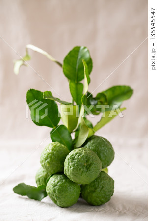 Kaffir lime fruit with leaf on white fabric background, Thai food ingredient 135545547